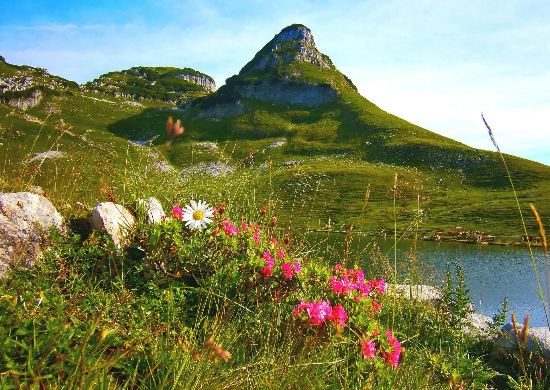 Der Augstsee mit Atterkogel im Hintergrund auf der Spitze des Loserberg